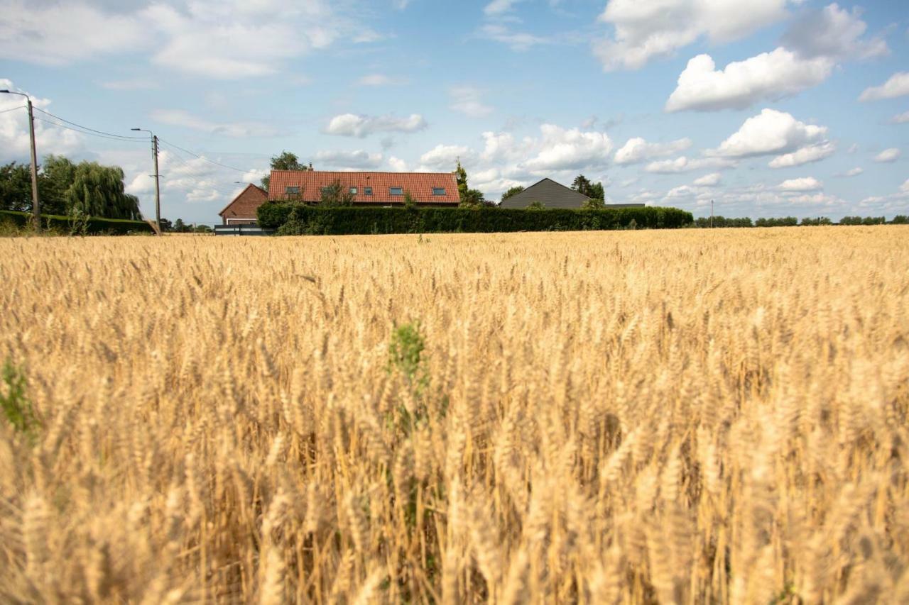 Gites De La Vesee La Chapelle d'Armentieres Ngoại thất bức ảnh